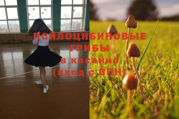 герыч Кинешма
