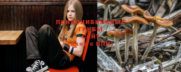 герыч Кинешма