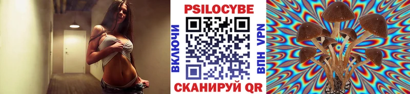Псилоцибиновые грибы мицелий  Купить закладки  Вилючинск 